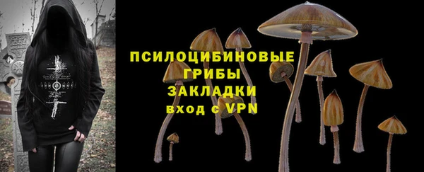 a pvp Верхний Тагил