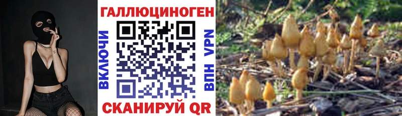 Галлюциногенные грибы Cubensis  Купить закладки  Шали 